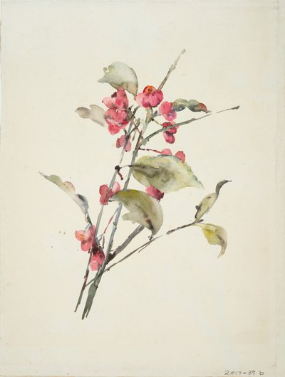 Lyserøde blomster (akvarel på papir) af Barbara Leigh Smith Bodichon