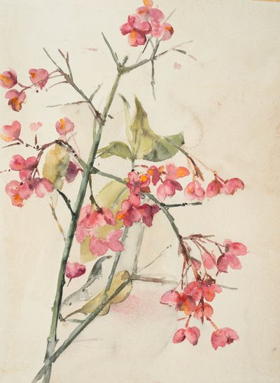Lyserøde blomster (akvarel på papir) af Barbara Leigh Smith Bodichon