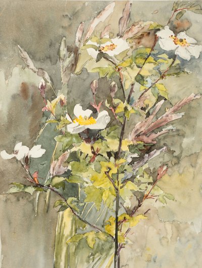 Vilde blomster (akvarel og grafit på vævet papir) af Barbara Leigh Smith Bodichon
