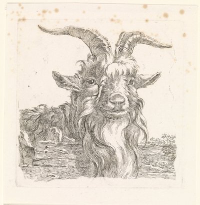 Hovedet af en sorteper af Barend Hendrik Thier