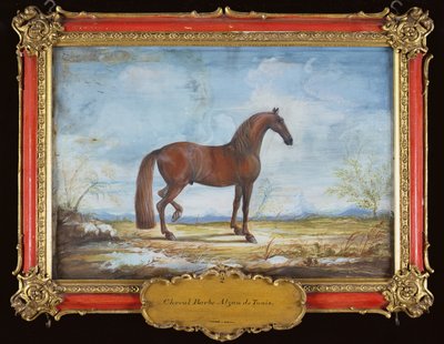 nr. 2 Alzan de Tunis, en Barbary-hest fra den spanske rideskole (wc på papir) af Baron Reis Eisenberg