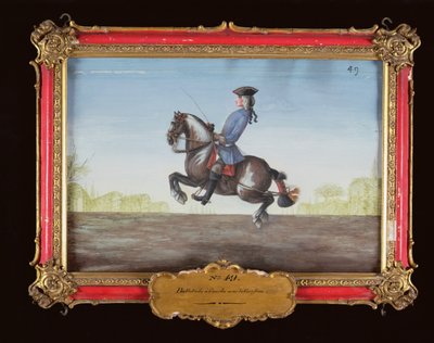 Nr. 49 En hest fra den Spanske Rideskole, der udfører en dressurbevægelse kaldet Ballotade (wc på papir) af Baron Reis Eisenberg