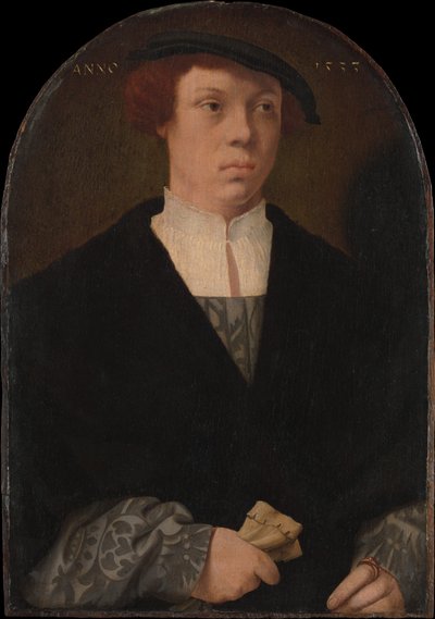 Portræt af en mand, 1533. af Bartholomaeus Bruyn the Elder