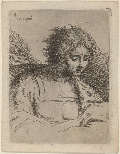 Halv-længde figurlæsning af Bartholomäus Ignaz Weiss