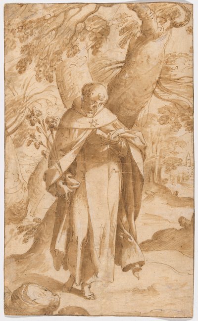 Saint Dominic Reading af Bartholomaeus Spranger