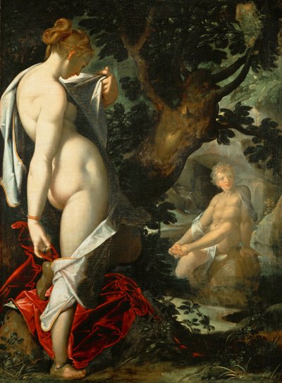 Tysk: Hermaphroditus und die Nymphe Salmacis Hermaphroditus og nymfen Salmacis af Bartholomeus Spranger