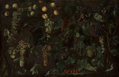 Vindruer og frugt, med tre vipstjerter, ca. 1615-18. af Bartolomeo Cavarozzi