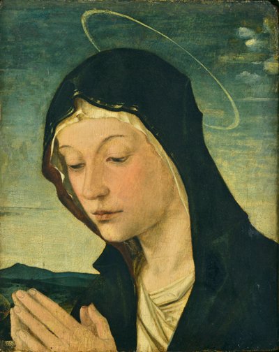 Hoved og hænder af en tilbedende madonna (fragment), ca. 1477-78 (tempera på poppeltræ) af Bartolomeo Montagna