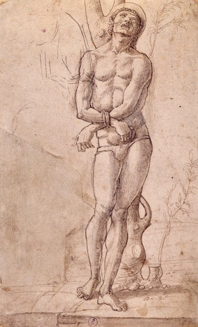 Sankt Sebastian, ca 1475, tegning af Bartolomeo Montagna (ca 1450-1523), pen og brunt blæk, med brun vask, cm 20x15, Italien af Bartolomeo Montagna