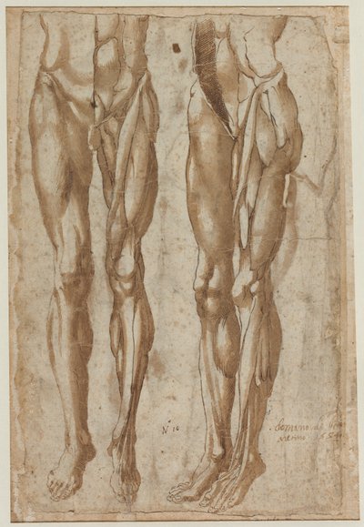 To studier af en flået mand recto Studie af en flået torso verso, 1554. af Bartolommeo da Arezzo