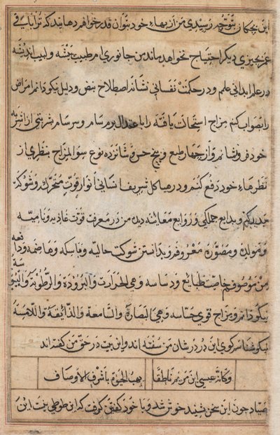 Side fra Tales of a Parrot Tuti-nama: tekstside, ca. 1560. af Basavana