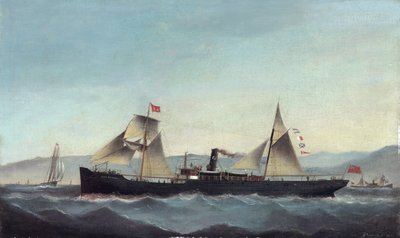 S.S. Glanrheidol af Basi Ivancovich