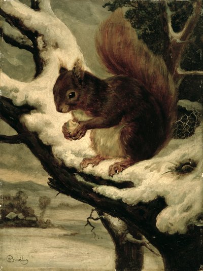 Et rødt egern spiser en nød (olie på møllebræt) af Basil Bradley