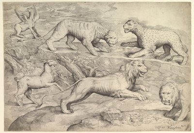 Seks dyr, inklusive løver, en tiger, en leopard, en griffin og en ged, ca. 1530-61. af Battista Franco Veneziano