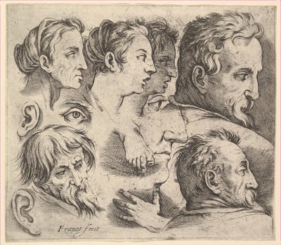Studier af hoveder. af Battista Franco Veneziano