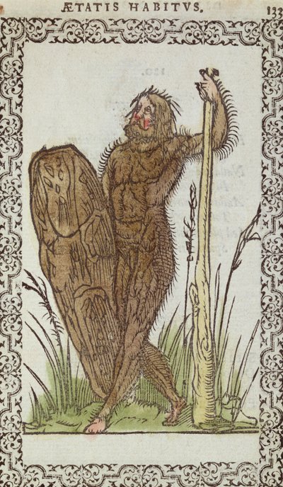The Wild Man, illustration fra The Habits and Portraits of Nearly All Nations and Contemporary Nations af Jean Sluperji, Antwerpen, 1572 (farvet træsnit) af Belgian School