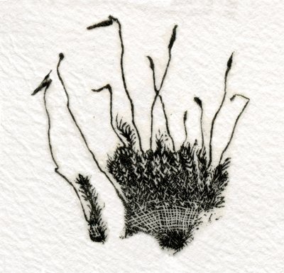 Budding Moss, 2014, (trægravering på gampi) af Bella Larsson