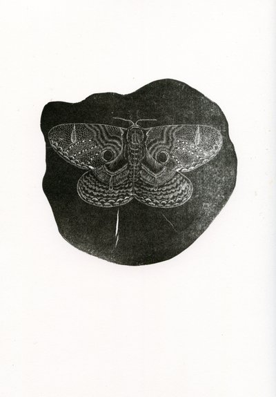 Night Butterfly, 2016, (trægravering på papir) af Bella Larsson