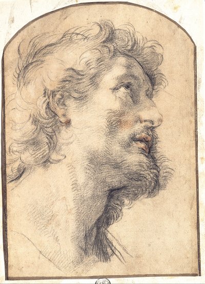 Undersøgelse af lederen af Saint Crispin af Benedetto Luti