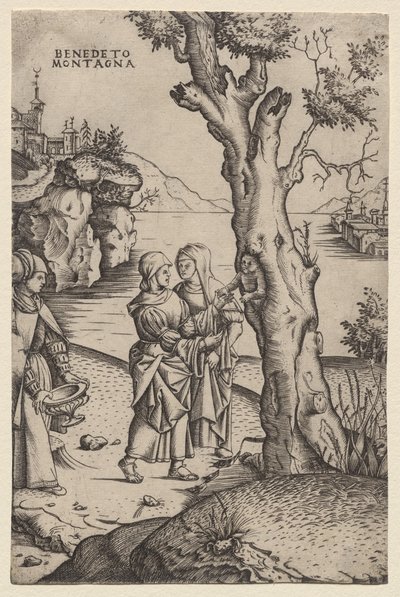 Adonis fødsel (fra serien: The Metamorphoses) af Benedetto Montagna
