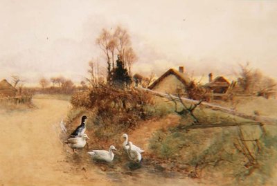 Dabbende ænder af Benjamin D. Sigmund