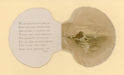 Illustration til hæfte med titlen Sea Shells (color litho) af Benjamin D. Sigmund
