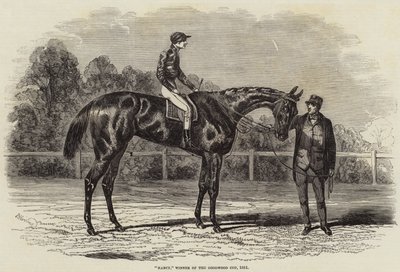 Nancy, vinder af Goodwood Cup, 1851 af Benjamin Herring