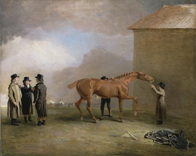 Muly Moloch, et kastanjeføl, der gnides ned på Newmarket Heath, med portrætter af Trotter, Hardy og Thompson til venstre (olie på lærred) af Benjamin Marshall