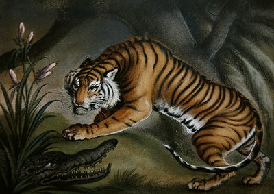 Tiger og krokodille, ca. 1810 (sandbillede om bord) af Benjamin Zobel