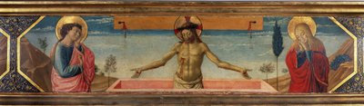 Ukendt billede af Benozzo di Lese di Sandro Gozzoli
