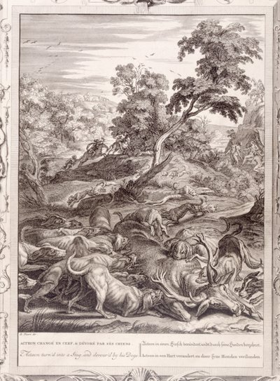 Actaeon forvandlet til en kronhjort og fortæret af sine hunde, 1731 af Bernard Picart