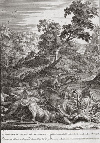 Actaeon blev til en kronhjort og fortæret af sine hunde, 1731 af Bernard Picart