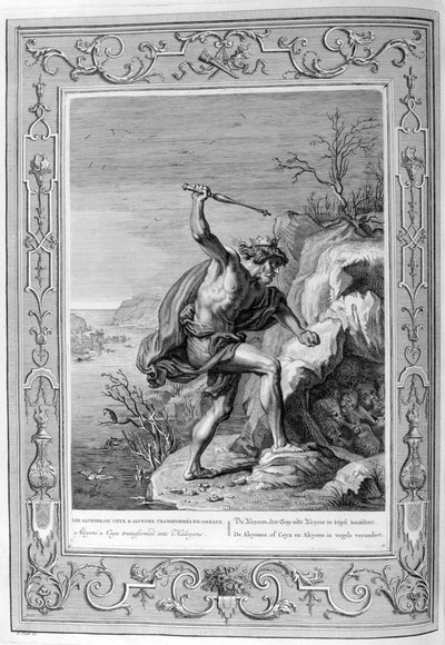 Alcyone og Ceyx omdannet til fugle, 1733 af Bernard Picart