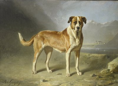En sanktbernhardshund af Bernard te Gempt