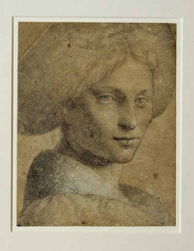 Portræt af en kvinde med turban, tre fjerdedele til højre ... af Bernardino (attr. to) Luini