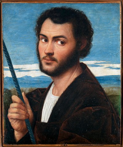 Portræt af en mand par Licinio, Bernardino (ca. 1489-ca. 1565). Olie på lærred, størrelse: 32x25,5, første halvdel af det 16. århundrede, Fondazione Cini, Venezia af Bernardino Licinio
