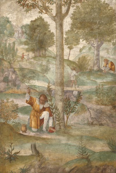 Kefalos gemmer juvelerne af Bernardino Luini