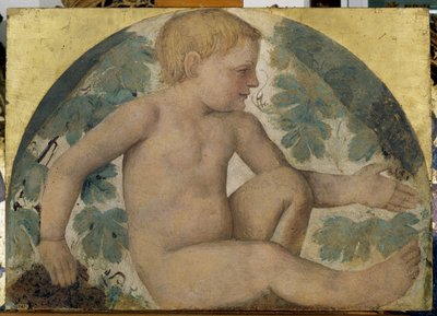Høstputti - Putto under en pergola, ca. 1514 (fritliggende freskomaleri båret om bord) af Bernardino Luini