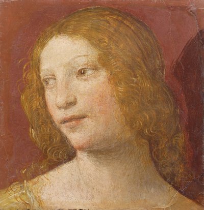 Leder af en ung kvinde af Bernardino Luini