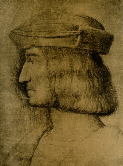 Mandsportræt af Bernardino Luini
