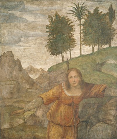 Procris gennemboret af Cephalus