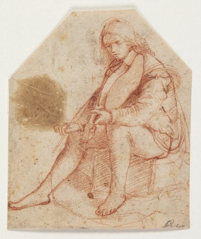 Siddende yngling med viola af Bernardino Luini