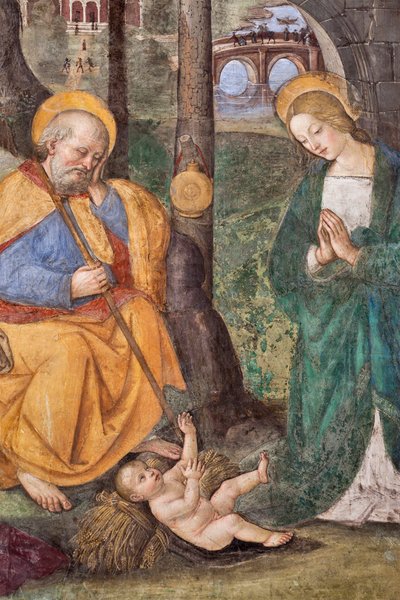 Tilbedelse af hyrderne (tilbedelse af hyrderne) Detail Fresco af Pinturicchio (Bernardino di Betto) (1454-1513) 1484-1492 (Kirken Santa Maria del Popolo), Basilikaen Santa Maria del Popolo, Cappella Basso della Rovere Rom Italien af Bernardino di Betto Pinturicchio