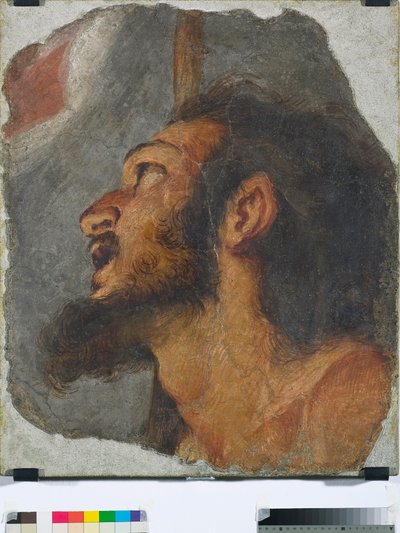 Hoved af St. Johannes Døberen Fragment af fritliggende freskomaleri, 1622 af Bernardo Strozzi