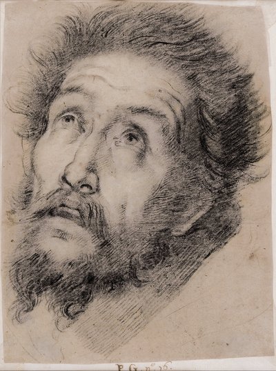 Studie til Sankt Frans af Assisi, der tilbeder korset af Bernardo Strozzi