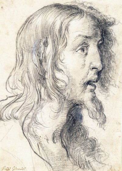 Kristi hoved i profil til højre, af Bernardo Strozzi