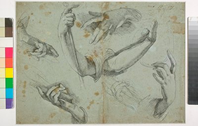 Ukendt billede af Bernardo Strozzi