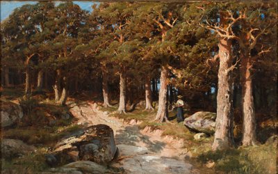 Kvinden i skoven af Berndt Lindholm