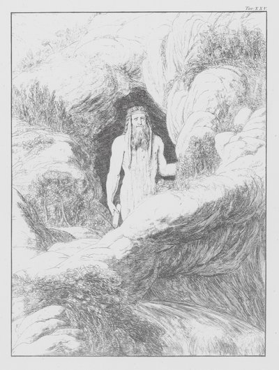 Dantes guddommelige komedie, Inferno (Helvede), plade XXV (litografi) af Bernhard Schuler