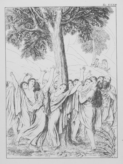 Dantes Guddommelige Komedie, Purgatorio (Skærsilden), planche XXXIII (litografi) af Bernhard Schuler
